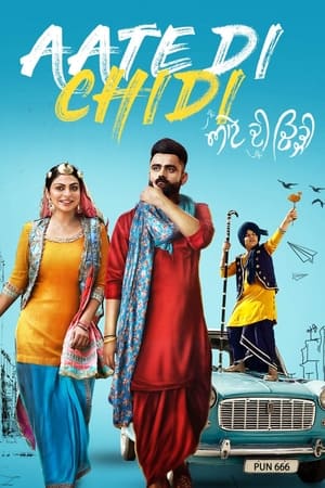 Aate di chidi (2018) Punjabi Movie [1GB]