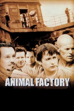 Animal Factory (2000) Hindi Dual Audio 300MB