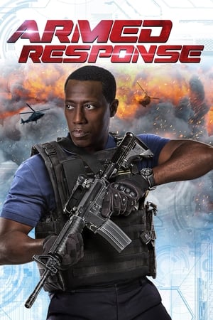 Armed Response (2017) Hindi Dual Audio 340MB