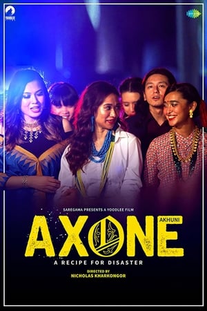 Axone 2019 Hindi Movie – [300MB]