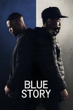 Blue Story (2019) Hindi Dual Audio – 480p