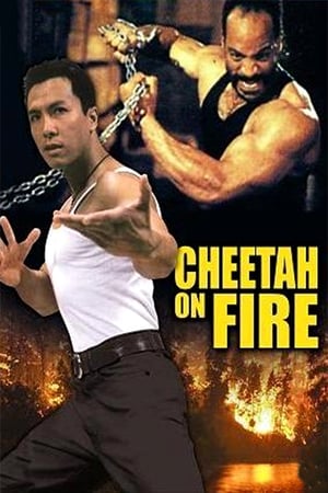 Cheetah on Fire 1992 Hindi Dual Audio [900MB]