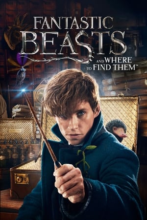 Fantastic Beasts and Where to Find Them 2016 Dual Audio (Hindi) [300MB]