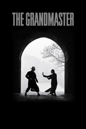 The Grandmaster (2013) Hindi Dual Audio [1GB] ESubs