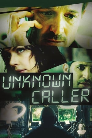 Unknown Caller 2014 Hindi Dual Audio [900MB] ESubs